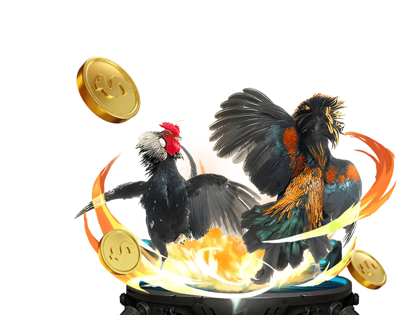 Hướng dẫn tham gia cá cược đá gà TR88